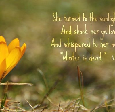 Seasons